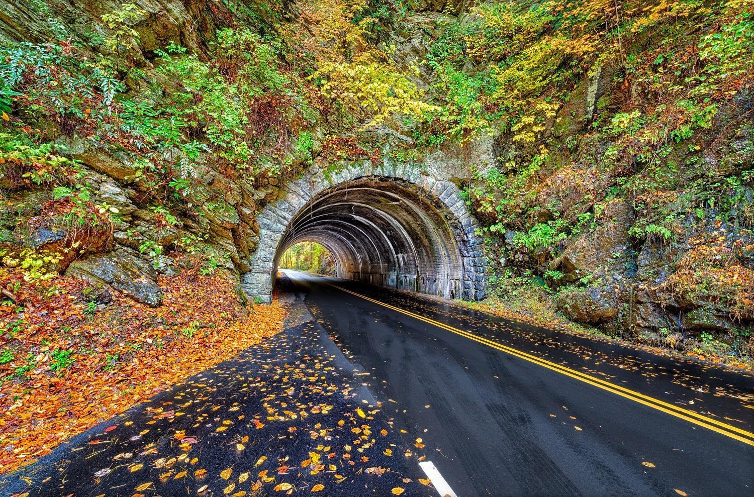 A Stones Throw, You Get 1089 Free Attraction Tickets Per Paid Day, Dollywood And Much More! Pigeon Forge Dış mekan fotoğraf