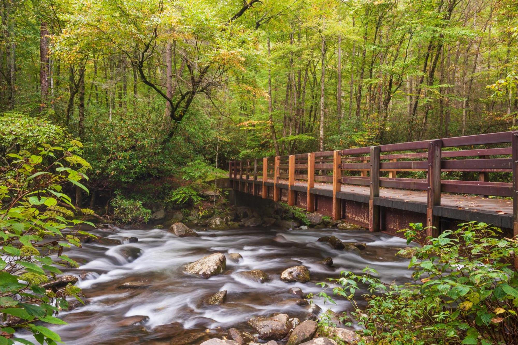 A Stones Throw, You Get 1089 Free Attraction Tickets Per Paid Day, Dollywood And Much More! Pigeon Forge Dış mekan fotoğraf