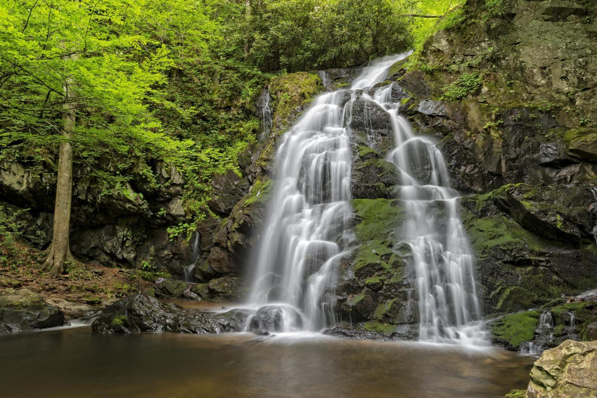 A Stones Throw, You Get 1089 Free Attraction Tickets Per Paid Day, Dollywood And Much More! Pigeon Forge Dış mekan fotoğraf